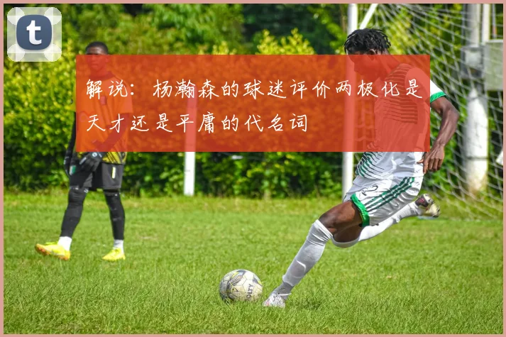 解说：杨瀚森的球迷评价两极化是天才还是平庸的代名词