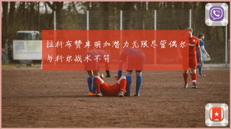 拉科布赞库明加潜力无限尽管偶尔与科尔战术不符