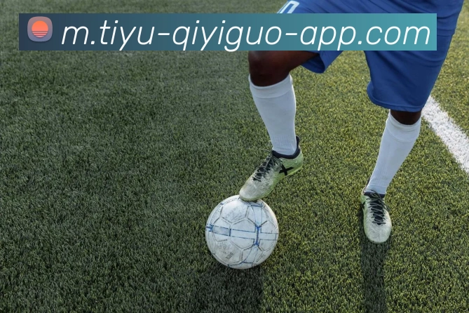 奇异果体育平台生态图