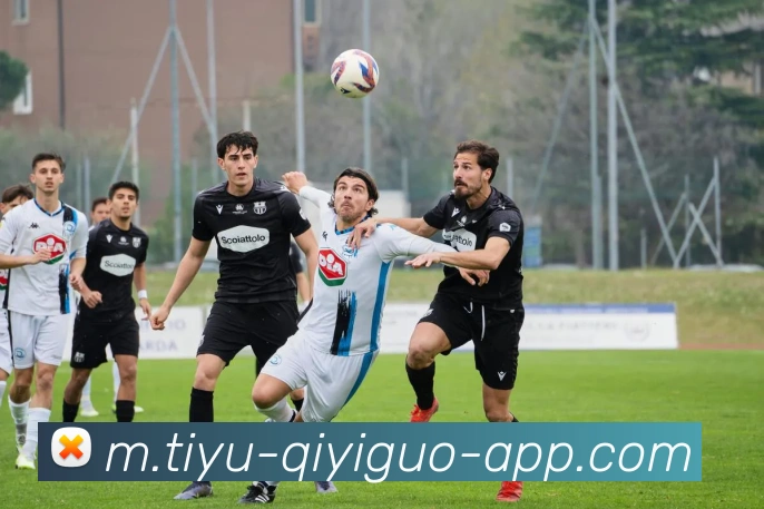 奇异果体育全站App